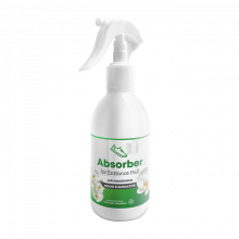 absorber-entrancehall